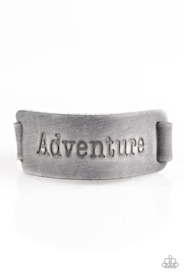 Paparazzi Take The Scenic Route - Silver