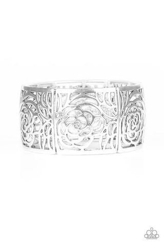 Paparazzi Victorian Variety - Silver