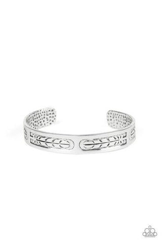 Paparazzi Roost Radiance - Silver