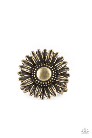 Paparazzi Farmstead Fashion - Brass Ring