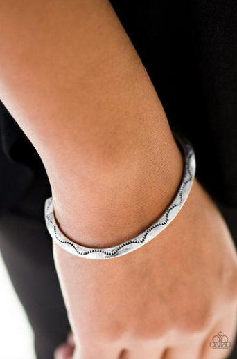 Paparazzi Desert Charmer - Silver