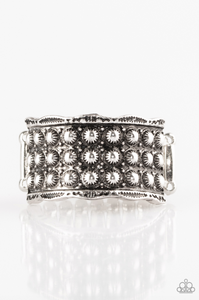 Paparazzi Call to Arms – Silver