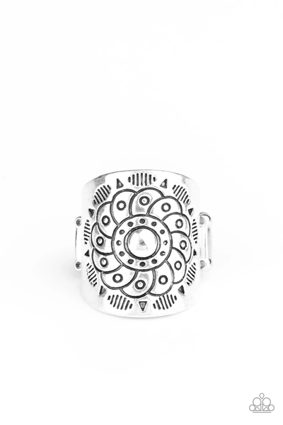 Paparazzi Dig It - Silver